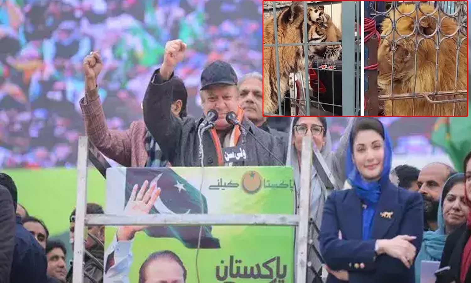 நவாஸ் ஷெரீப் பேரணியில் சிங்கம், புலியுடன் கலந்து கொண்ட தொண்டர்கள்