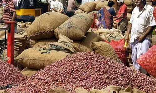 சின்ன வெங்காயம் விலை கடும் சரிவு: ஒரு கிலோ ரூ.20-க்கு விற்பனை