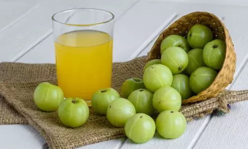 ஒரே ஒரு நெல்லிக்காய் போதும் உடல் எடையை குறைத்துவிடலாம்