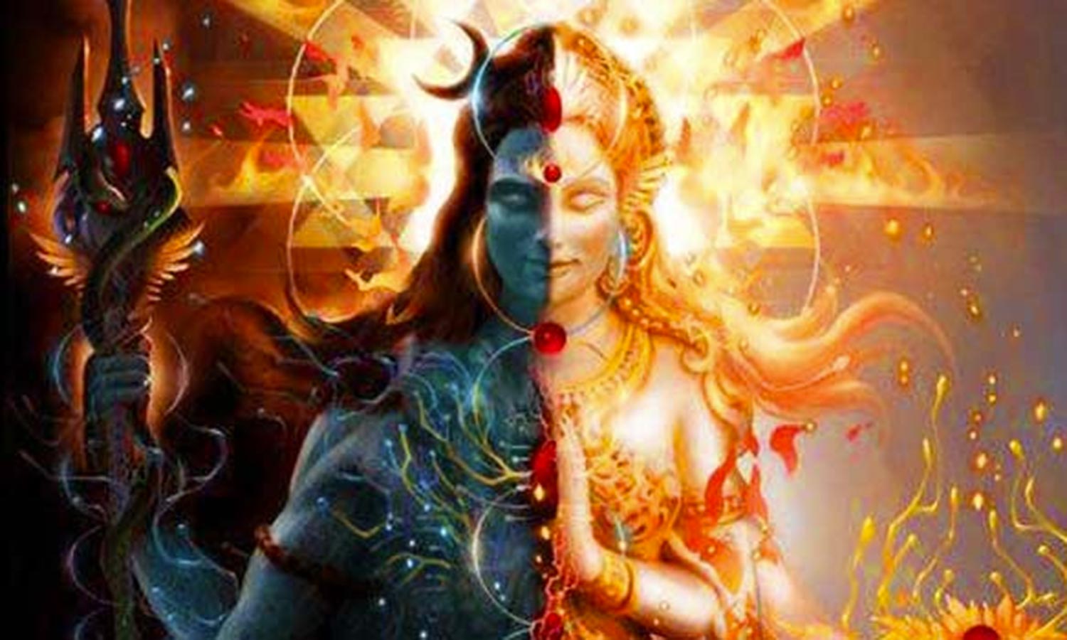 பாதியும் சரிபாதியும்!