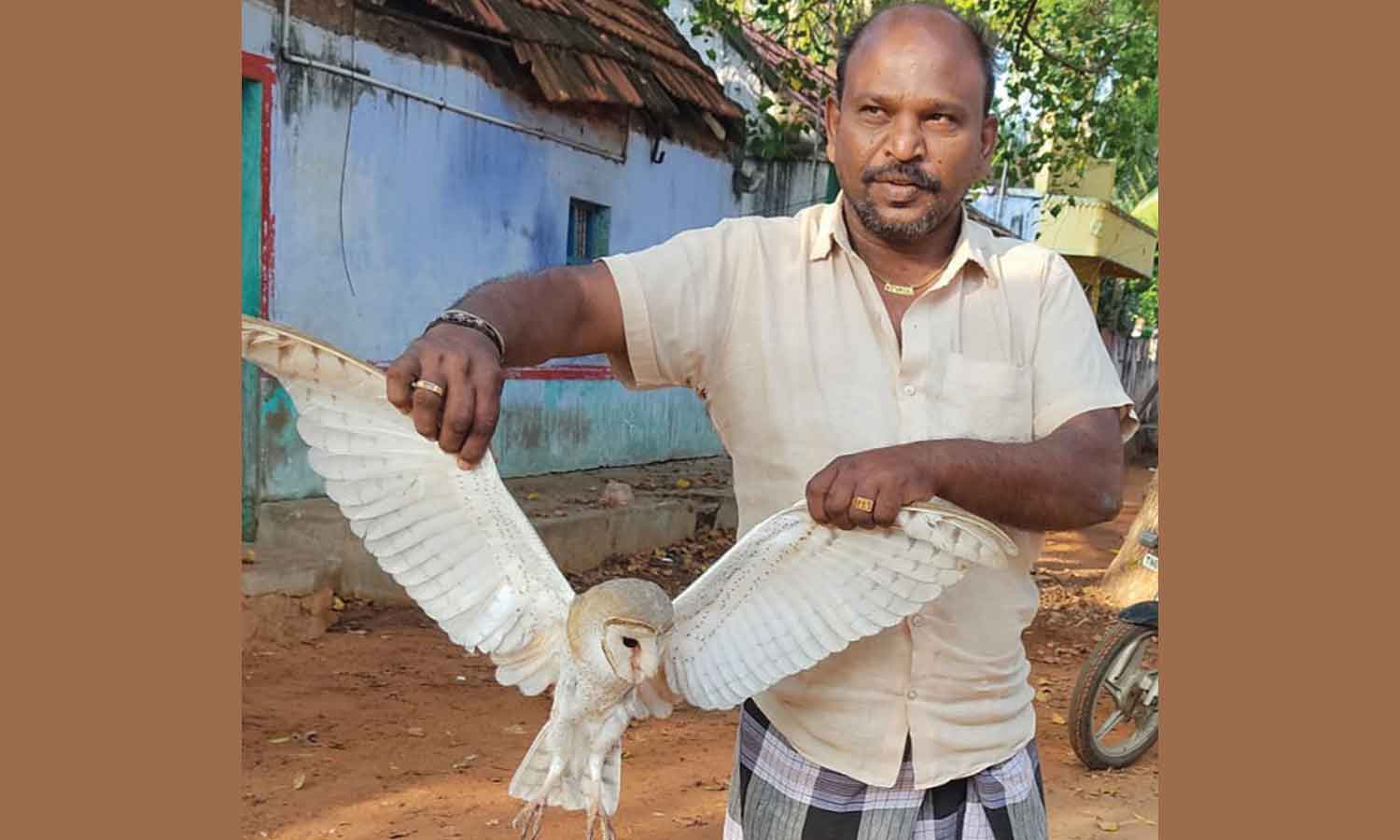 உடன்குடியில் பிடிபட்ட அரிய வகை ஆந்தை வனத்துறையிடம் ஒப்படைப்பு