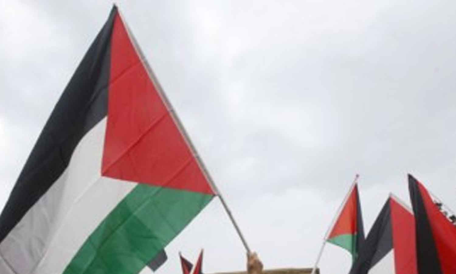 ஆந்திராவில் பாலஸ்தீன கொடியுடன் நின்ற 4 வாலிபர்கள் கைது