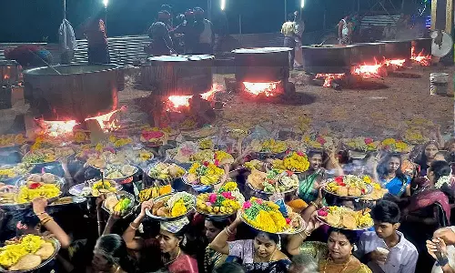 முனியாண்டி கோவில் திருவிழாவில் பக்தர்களுக்கு பிரியாணி விநியோகம்