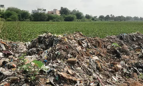 குப்பைகளை கொட்டுவதால் மாசடைந்து வரும் தாமரை ஏரி