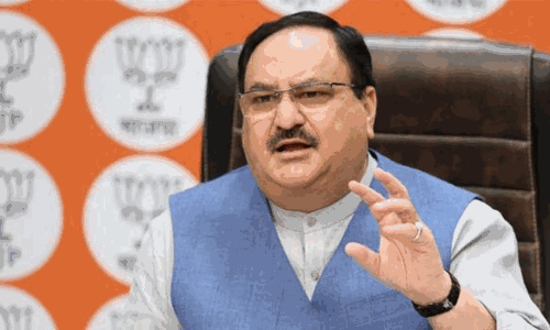 பாராளுமன்ற தேர்தலுக்கான பா.ஜ.க. பொறுப்பாளர்கள் நியமனம்