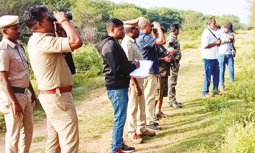 ஆனைமலை புலிகள் காப்பகத்தில் பறவைகள் கணக்கெடுக்கும் பணி தொடக்கம்