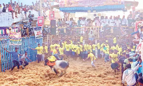 தஞ்சை அருகே ஜல்லிக்கட்டு: சீறிப்பாய்ந்த காளைகளை அடக்கிய வீரர்கள்