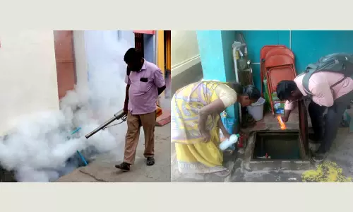 நெல்லையில் டெங்கு தடுப்பு பணிகள் தீவிரம்