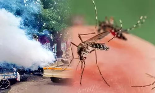 சென்னையில் கொசுத்தொல்லை அதிகரிப்பு: புகை அடித்து ஒழிக்கும் பணி தீவிரம்