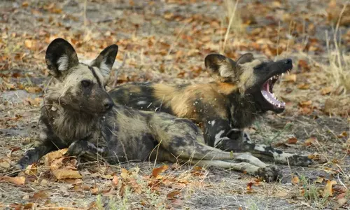 மன்னிப்போம்.. மறப்போம்!