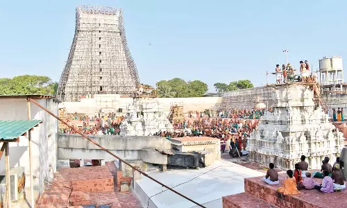 திருச்செந்தூர் சுப்பிரமணிய சுவாமி கோவிலில் தை உத்திர வருஷாபிசேகம்- பக்தர்கள் தரிசனம்