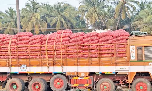பாவூர்சத்திரம் மார்க்கெட்டில் பல்லாரி விலை கடும் வீழ்ச்சி