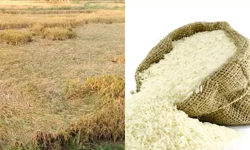 மிச்சாங் புயலால் அரிசி விலை திடீர் உயர்வு