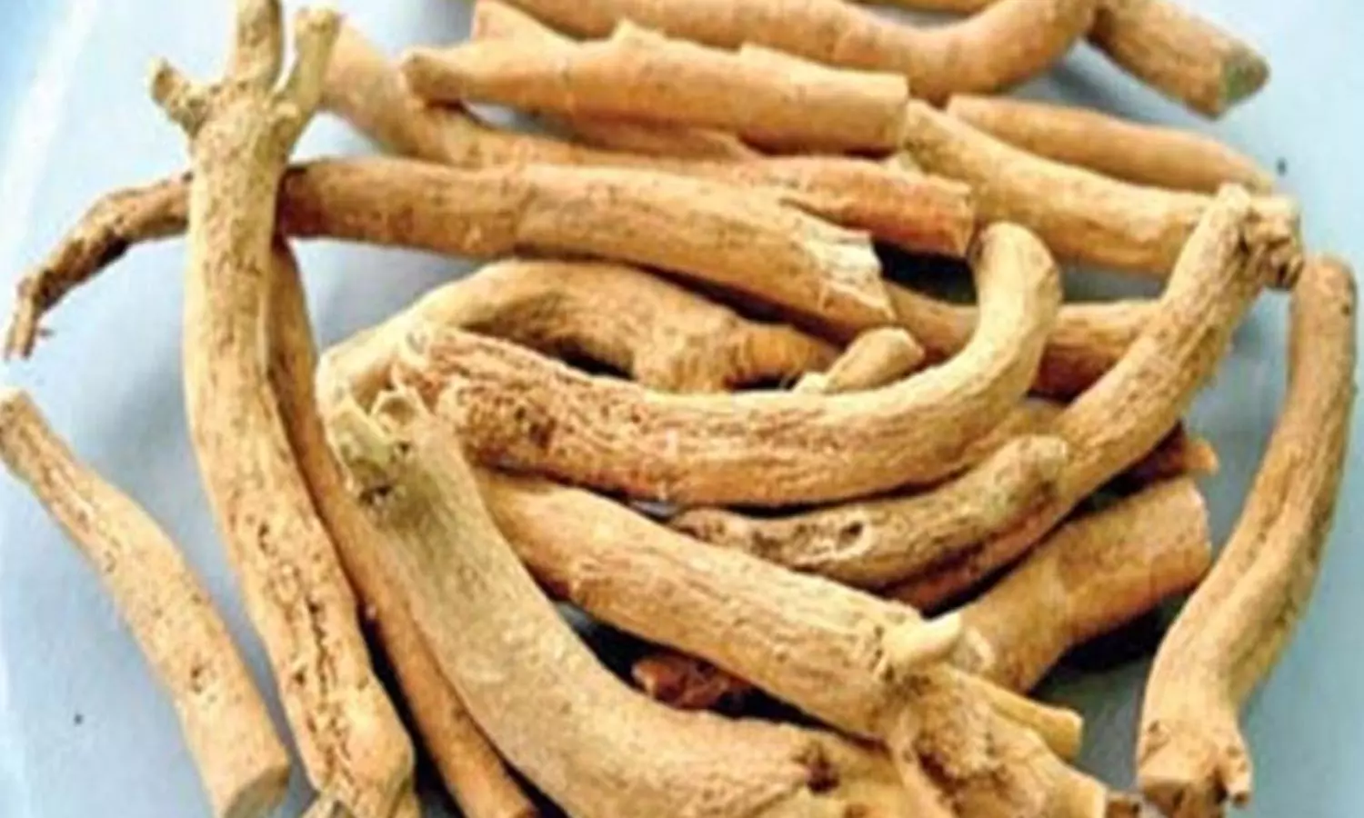 அமுக்கரா தரும் ஆற்றல்