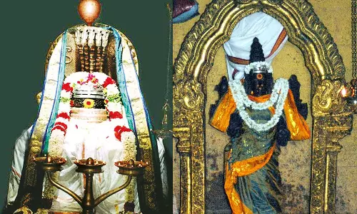 காசியின் வேரில் வெளிப்பட்ட அவிநாசியப்பர்