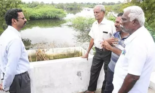 45 நாட்களாக வடியாத வெள்ளநீர்- கலெக்டர் ஆய்வு