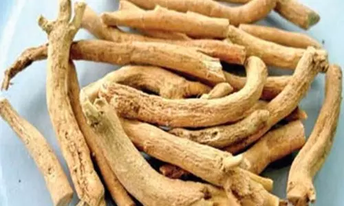 அமுக்கரா தரும் ஆற்றல்