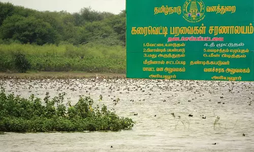 ராம்சர் தளமாக அறிவிக்கப்பட்டது: கரைவெட்டி பறவைகள் சரணாலயத்துக்கு மத்திய அரசு அங்கீகாரம்