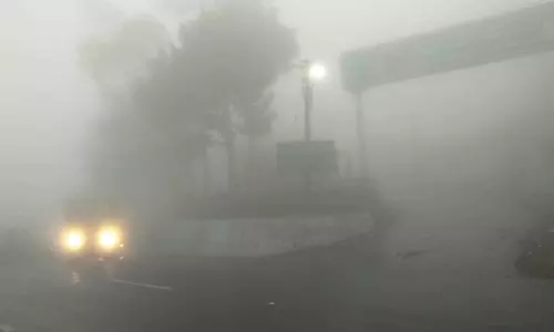 தாளவாடி-தம்பம் வனப்பகுதியில் கடும் பனி பொழிவு- முகப்பு விளக்குகளை எரியவிட்டு செல்லும் வாகன ஓட்டிகள்