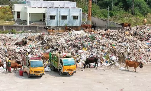 குன்றத்தூர் சாலைகளில் மலைபோல் குவிந்து கிடக்கும் குப்பைகள்- தொற்று நோய் பரவும் அபாயம்