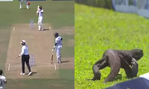 நாங்களும் விளையாட்டுக்கு வரலாமா.. மைதானத்துக்குள் நுழைந்த உடும்பு.. வைரலாகும் வீடியோ