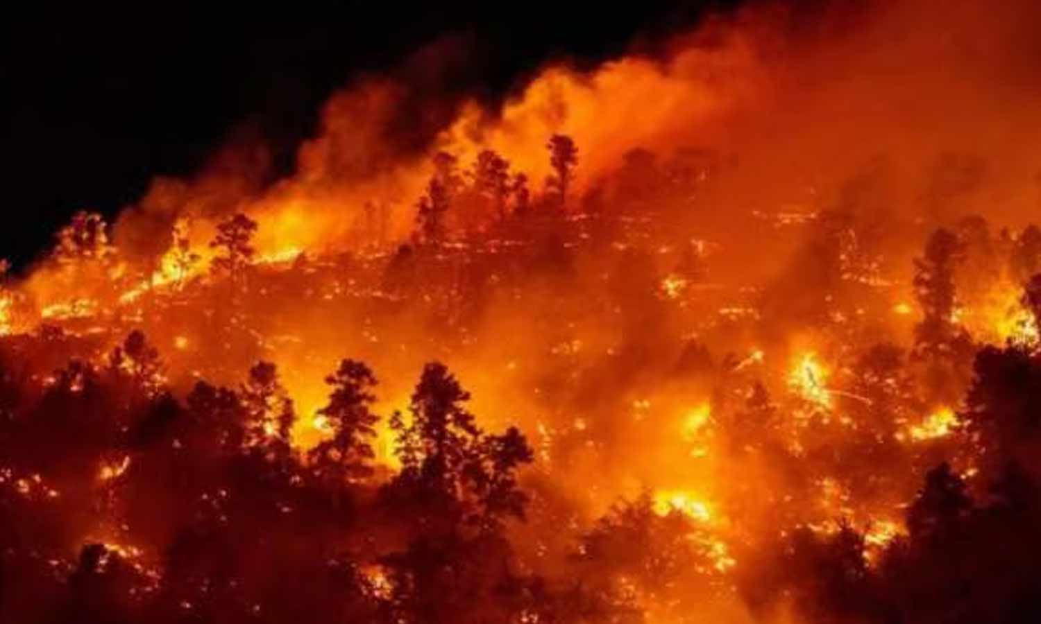 அவசர நிலை பிரகடனம்: சிலி நாட்டில் பயங்கர காட்டுத்தீ