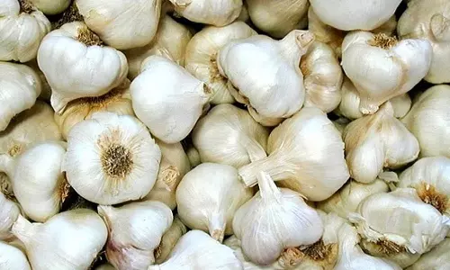 சென்னையில் பூண்டு விலை ரூ.500 ஆக உயர்வு