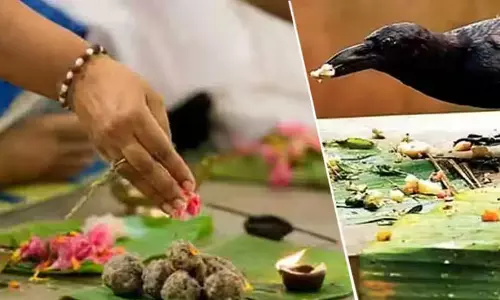 பித்ருதோஷம் பற்றிய கேள்விகளும்-விளக்கங்களும்