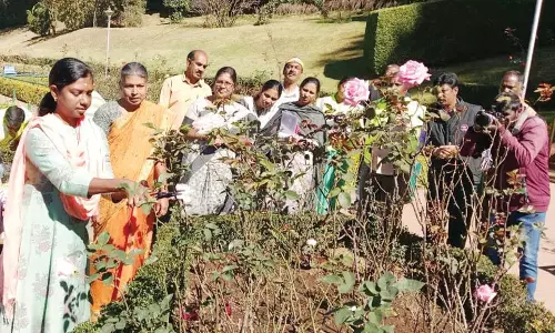 கோடை சீசனுக்காக ஊட்டி ரோஜா பூங்காவில் கவாத்து பணி தொடக்கம்