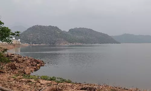 உடுமலை அமராவதி அணையில் சரியும் நீர்மட்டம்