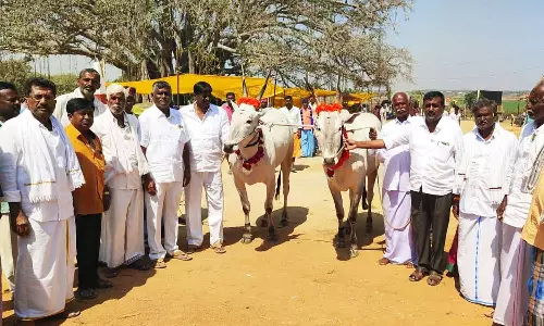 200 ஆண்டுகள் பழமையான மாட்டுத்திருவிழா: ஆர்வமுடன் வாங்கி சென்ற வியாபாரிகள்