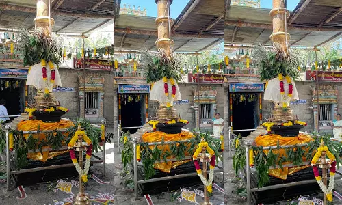 கொடிமரத்தில் ஆமை