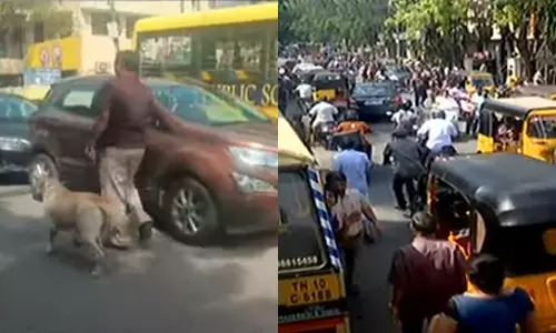 தனியார் பள்ளிகளுக்கு வெடிகுண்டு மிரட்டல்... மோப்ப நாய் உதவியுடன் போலீசார் தீவிர சோதனை