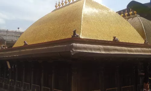 தேவசபை (பேரம்பலம்)