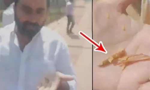 கோவிலில் பக்தருக்கு வழங்கிய பிரசாதத்தில் இறைச்சி துண்டு