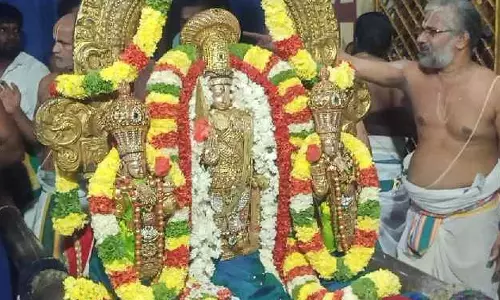 திருவள்ளூர் வீரராகவர் தீர்த்தவாரி