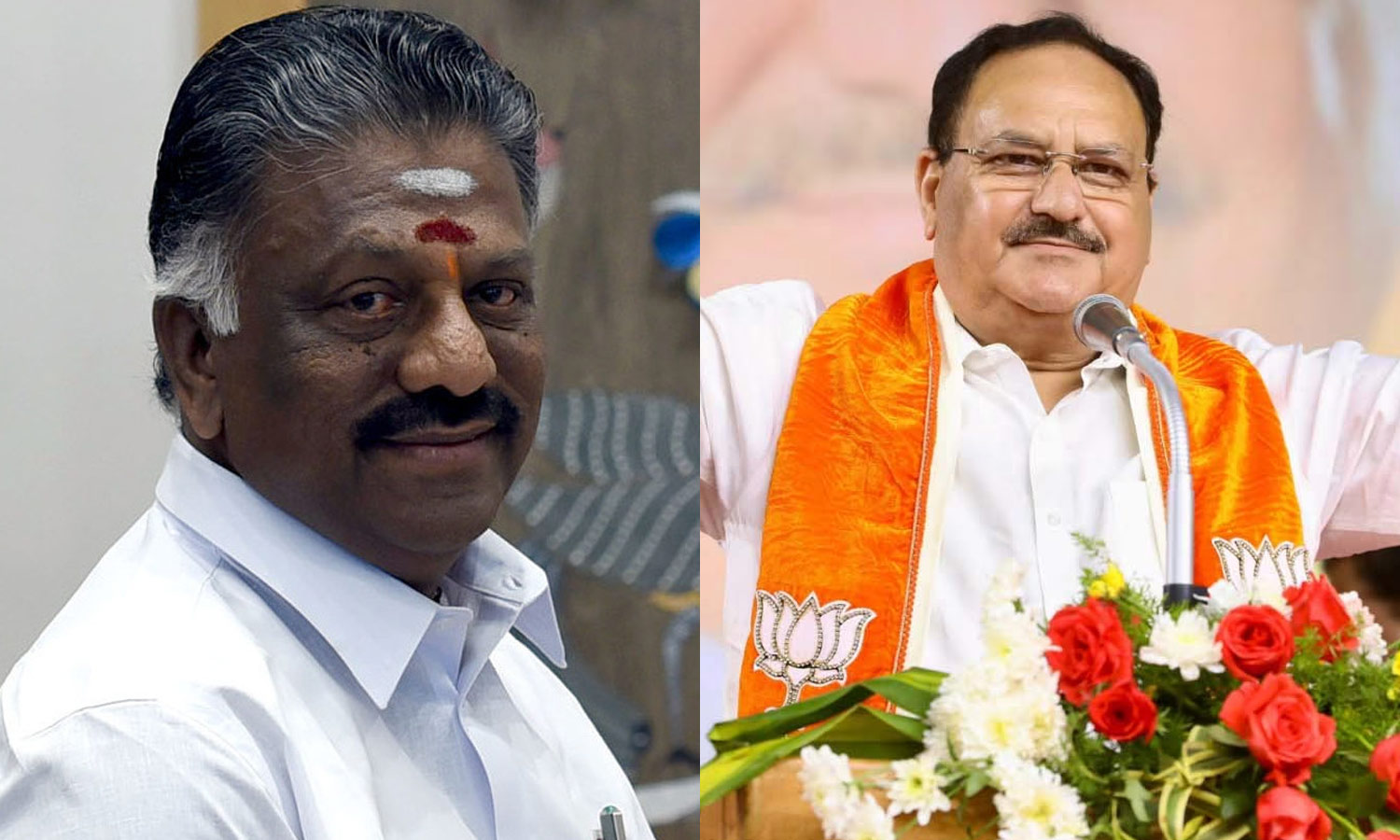 சென்னை வந்த நட்டாவை ஓ.பி.எஸ். சந்திக்காதது ஏன்?