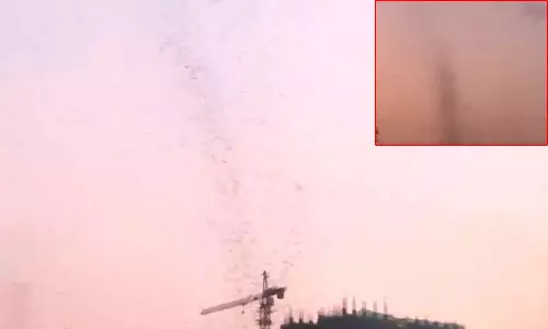 புனேயில் சூறாவளி காற்று போன்று சுழன்ற கொசுக்கள்