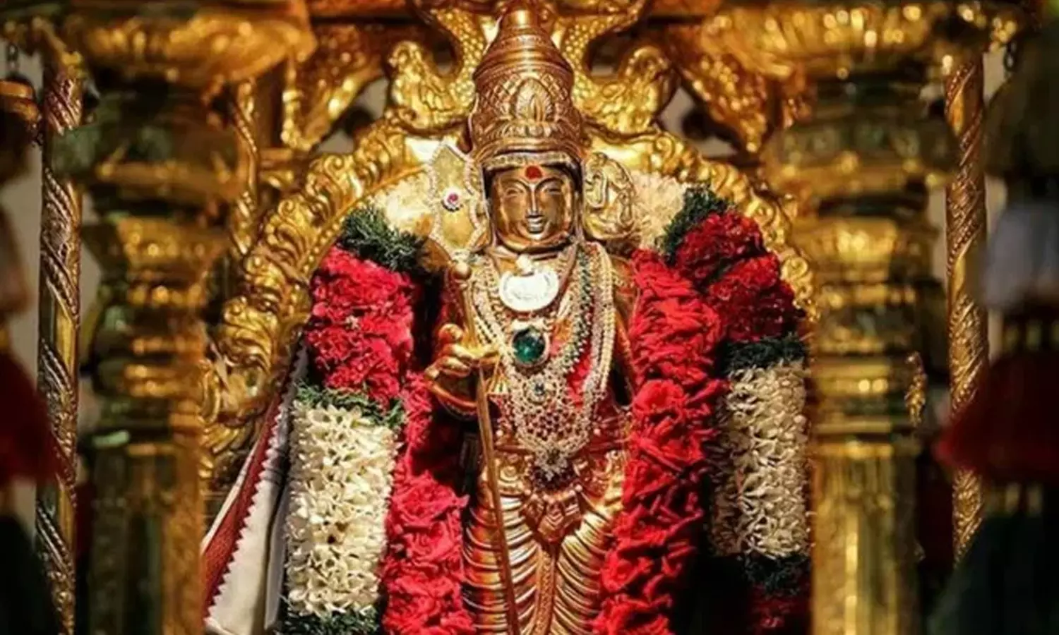 இந்த வார விசேஷங்கள் (13.2.2024 முதல் 19.2.2024 வரை) இந்த வார விசேஷங்கள் (13.2.2024 முதல் 19.2.2024 வரை)