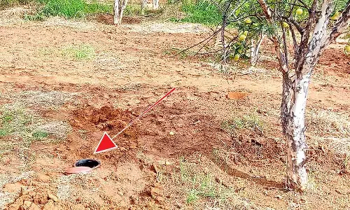 புதிய நீர்ப்பாசன முறையை கண்டறிந்த தொழிலதிபர்