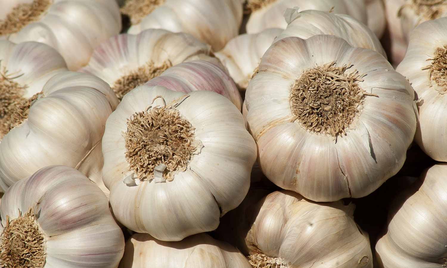 ஈரோட்டில் ஒரு கிலோ பூண்டு ரூ.400-க்கு விற்பனை: பெண்கள் கடும் அதிர்ச்சி