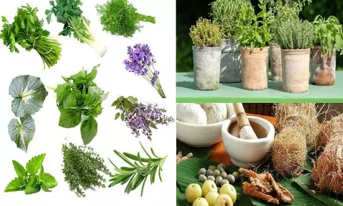 நோய்களை போக்கும் மூலிகை சாறு