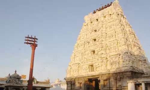 சித்திரையில் மட்டும் பூ பூக்கும் அதிசயம்