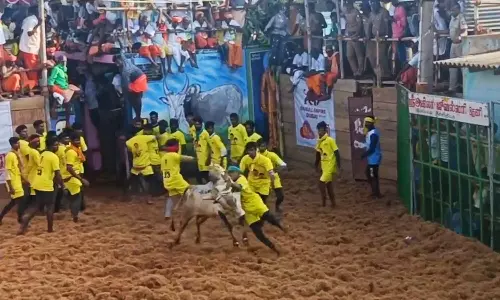 அய்யம்பட்டியில் இன்று ஜல்லிக்கட்டில் சீறிய காளைகளுடன் மல்லு கட்டிய வீரர்கள்