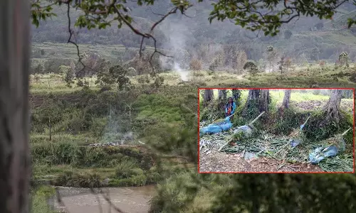 பப்புவா நியூ கினியாவில் இரு பழங்குடி சமூகத்தினர் இடையே கடும் மோதல்: 53 பேர் பலி