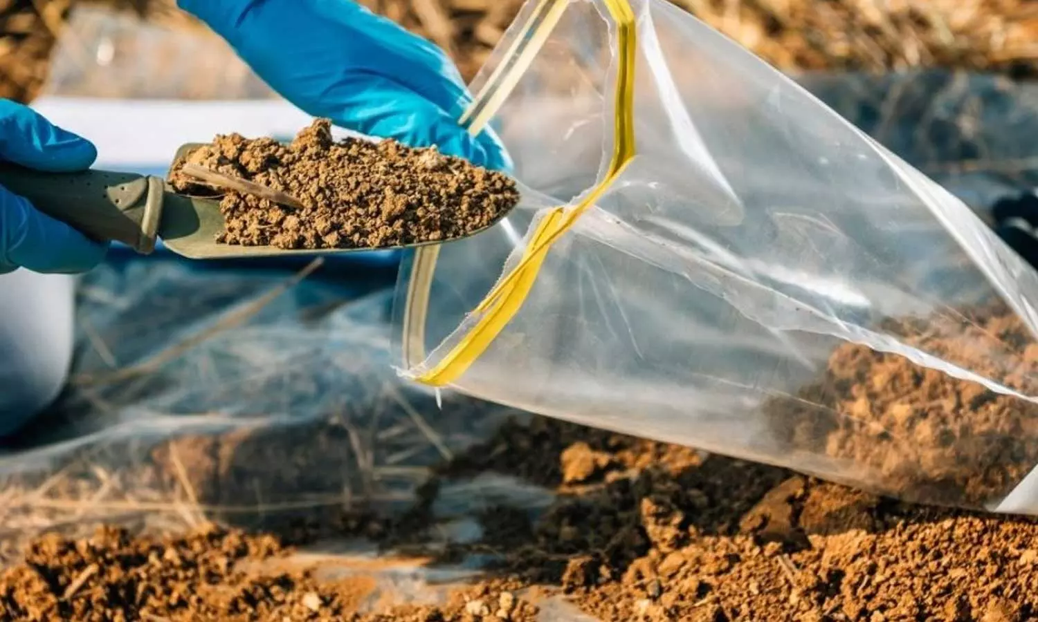 2,482 கிராம ஊராட்சிகளில் 2 லட்சம் விவசாயிகளின்... ... தமிழக வேளாண் பட்ஜெட் 2024-25: வேளாண்துறைக்கு ரூ.42,281.88 கோடி நிதி ஒதுக்கீடு- அப்டேட்ஸ்...