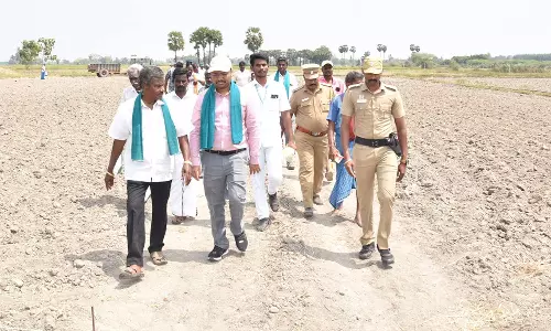 3 கி.மீ. தூரம் வயல்வெளியில் நடந்தே சென்று ஆய்வு செய்த கலெக்டர்