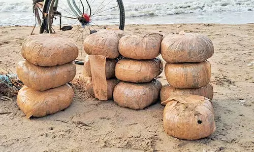 கோடியக்கரை அருகே 26 கிலோ கஞ்சா பொட்டலங்கள் கரை ஒதுங்கியது- போலீசார் விசாரணை