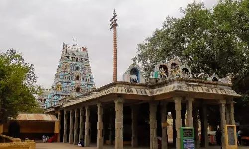 செல்வம் தரும்  திருவாவடுதுறை  சிவாலயம்