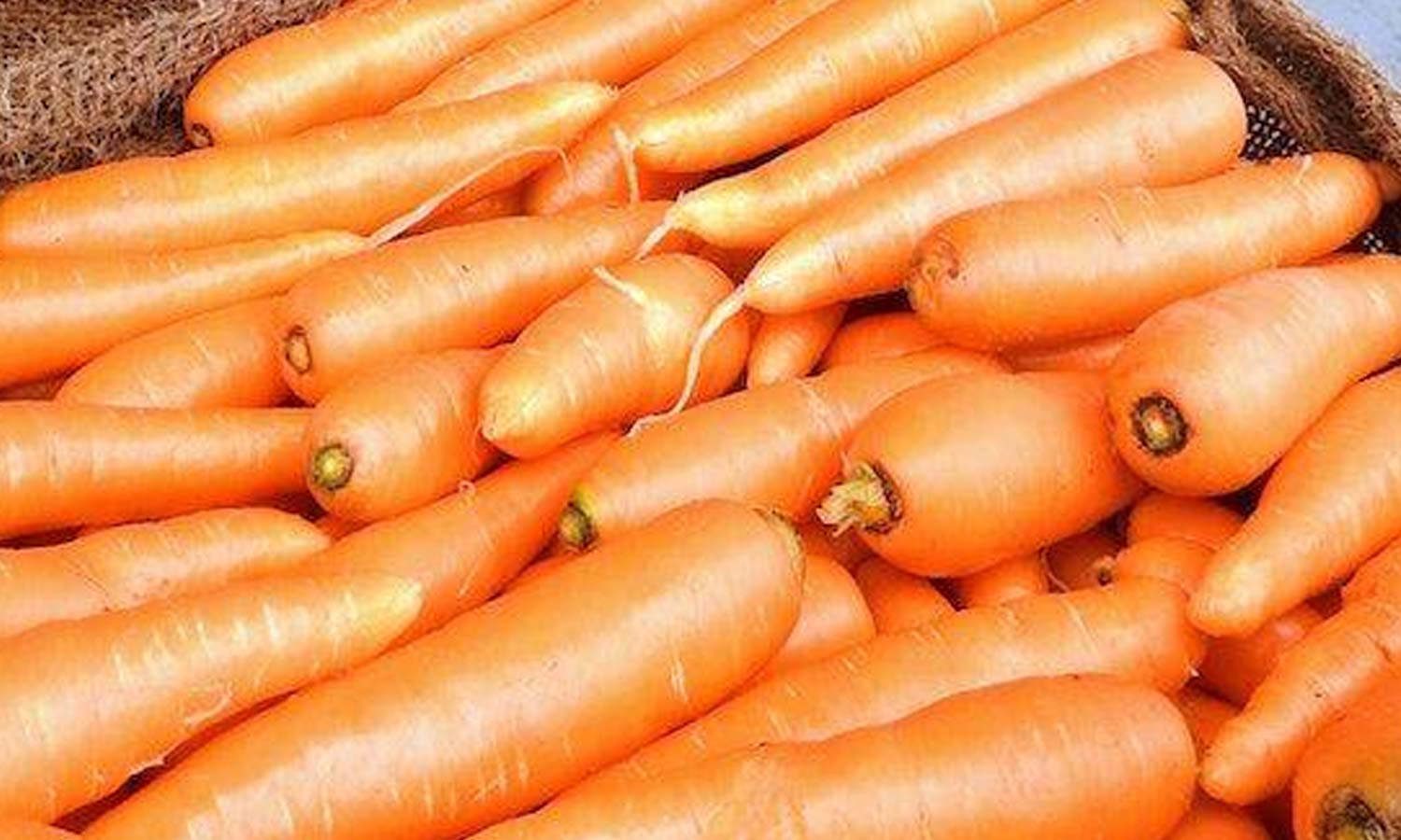 கோயம்பேடு மார்க்கெட்டில் கேரட் விலை திடீர் உயர்வு: கிலோ ரூ.90-க்கு விற்பனை